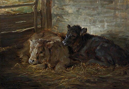 Calves, , Robert L. Alexander