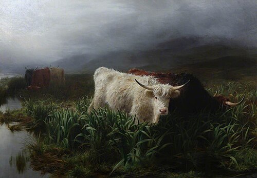 Moorland Rovers, 1876, Peter Graham