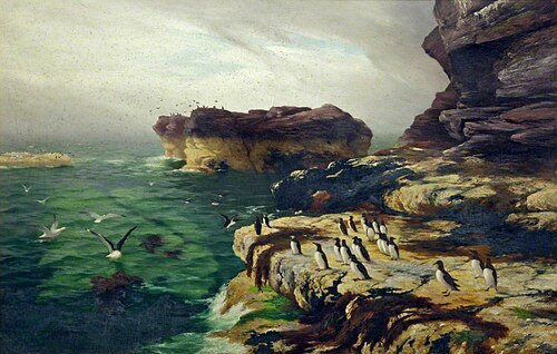 Seabirds' Home, 1879, Peter Graham