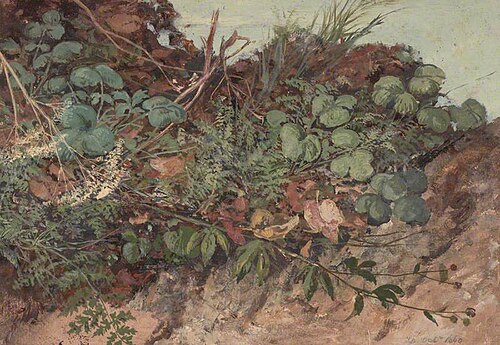 Study of Undergrowth, 1860, William Bell Scott
