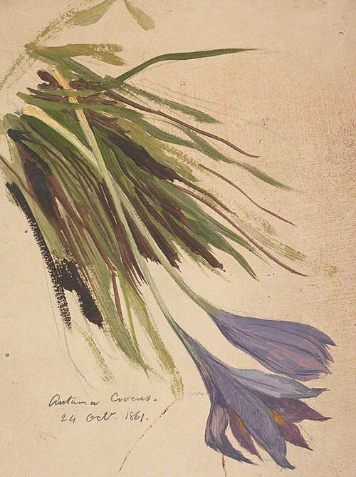 Autumn Crocus, 1861, William Bell Scott