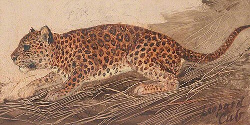 A Leopard, 1864, William Bell Scott