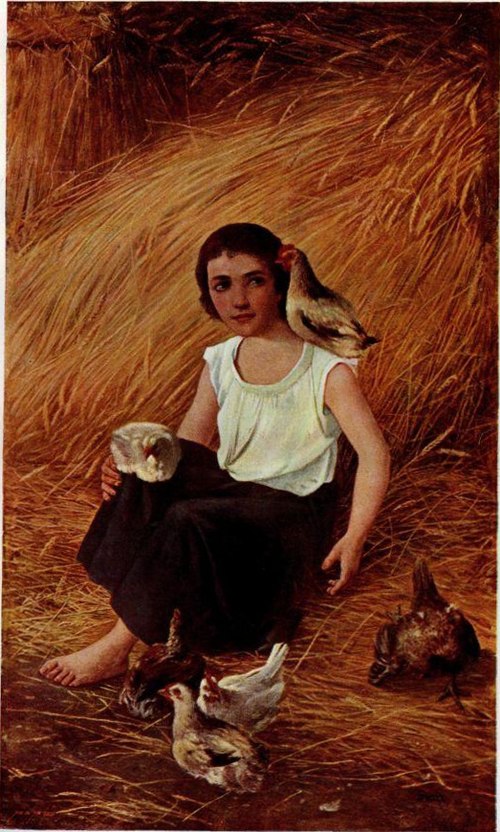 Dobre moje kokoši, 1903, Anton Gvajc