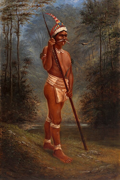 Zaparo Stock, 1893, Antonio Zeno Shindler