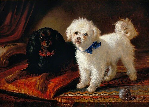 Two Dogs, 1872, Joseph Denovan Adam