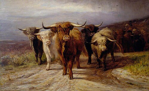 Cattle, 1878, Joseph Denovan Adam