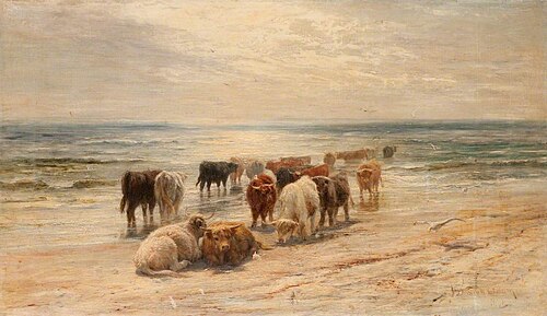 Highland Cattle, 1878, Joseph Denovan Adam