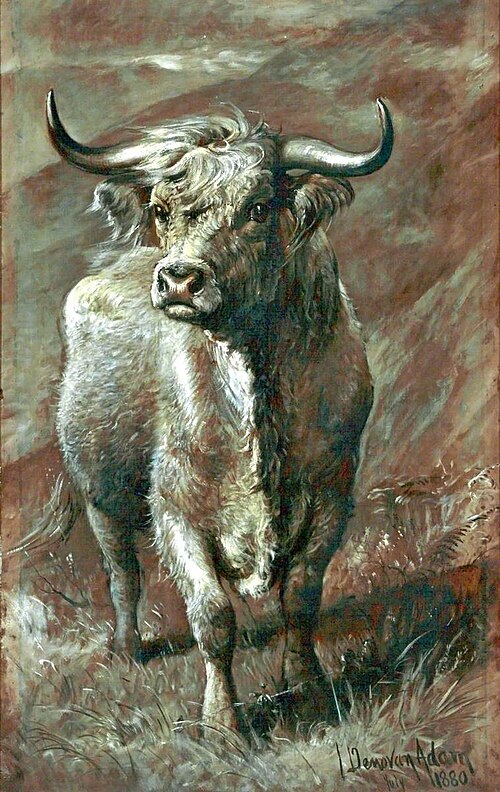 Highland Bull, 1880, Joseph Denovan Adam