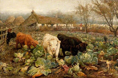Calves in the Cabbage Patch, , Joseph Denovan Adam