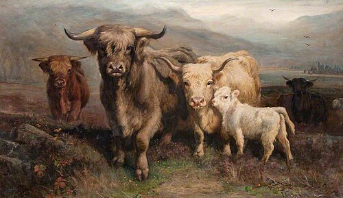 Highland Cattle, , Joseph Denovan Adam