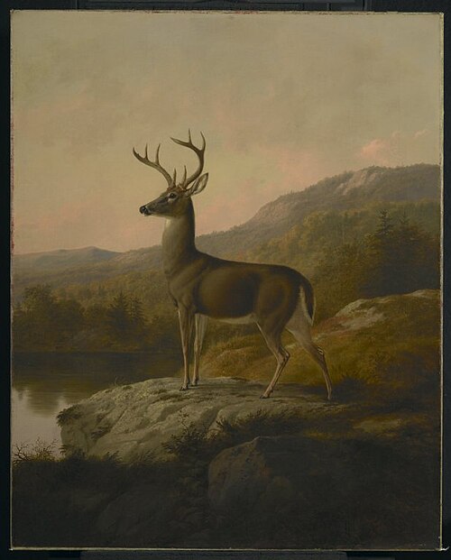 Deer, 1855, Thomas Hewes Hinckley