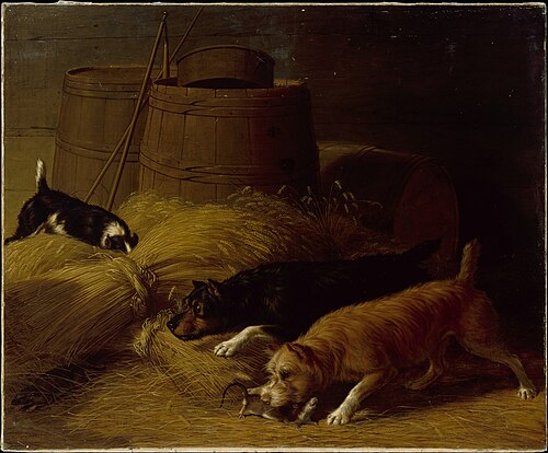 Rats amongst the Barley Sheaves, 1851, Thomas Hewes Hinckley