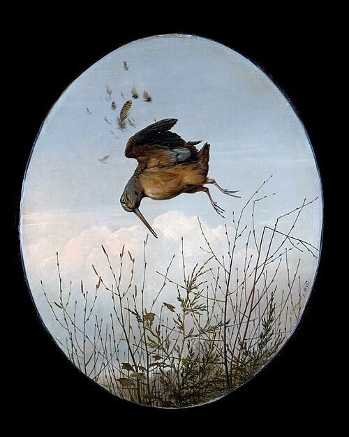 Woodcock, 1849, Thomas Hewes Hinckley