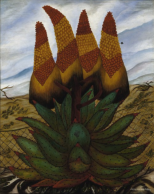 Aloes, 1936, Josephine Joy