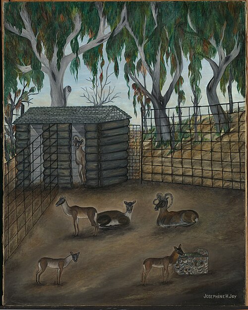Moufflon--Bobtailed Sheep, 1937, Josephine Joy