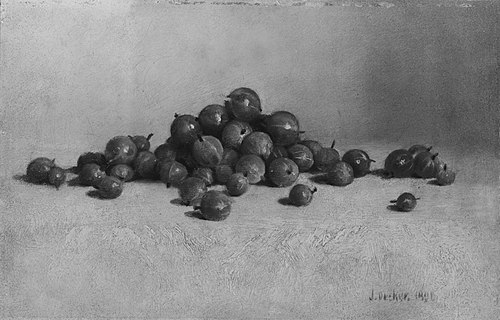 Gooseberries, 1896, Joseph Decker