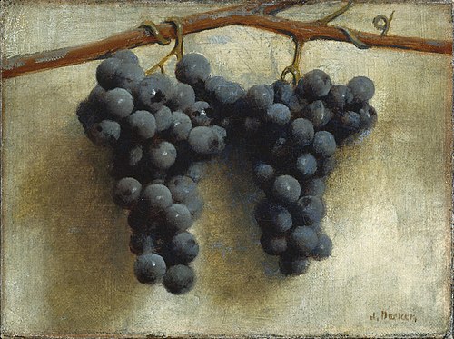 Grapes, 1892, Joseph Decker