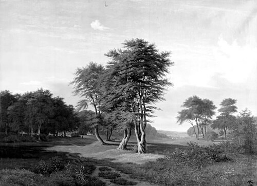 Skovparti. Motivet taget fra Dyrehaven, 1848, Henrich Christian From