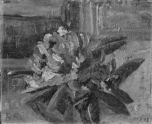 Rhododendron, 1909, Kristian Kongsbøll
