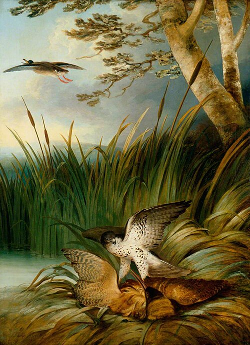 Harrier Killing a Bittern, 1797, Philip Reinagle