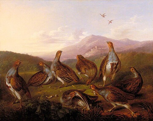 Partridges in a Moorland Landscape, , Philip Reinagle