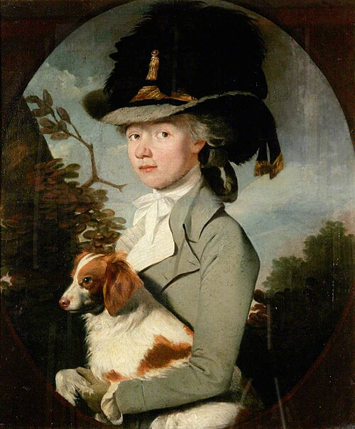 Mrs John Patteson, née Elizabeth Staniforth (1760–1838), , Philip Reinagle