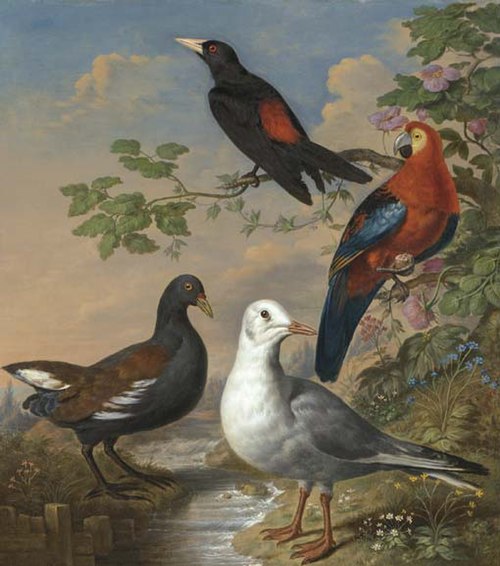 A Moorhen, a Gull, a Scarlet Macaw and Red-Rumped a Cacique by a Stream in a Landscape, , Philip Reinagle
