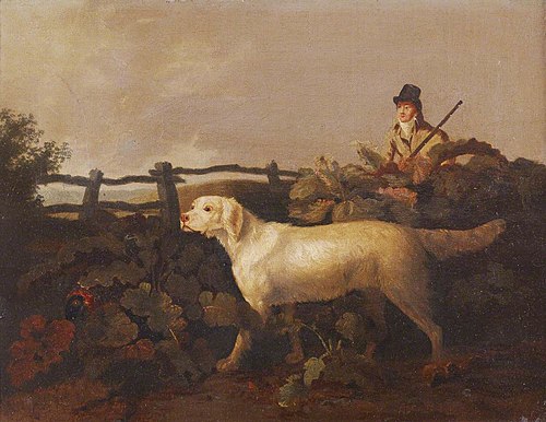 A Sportsman and his Dog, 1801, Philip Reinagle