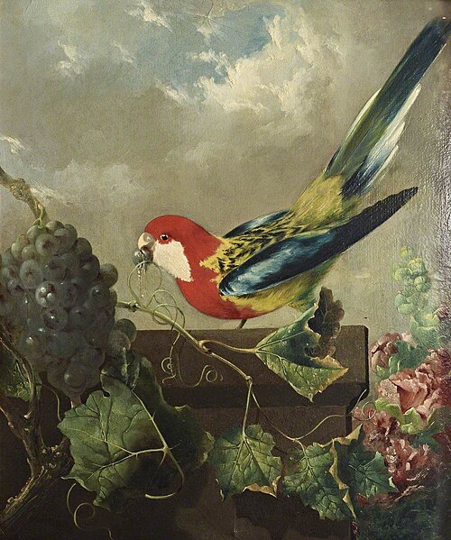 Parakeet with Grapes and Hollyhocks, 1801, Philip Reinagle