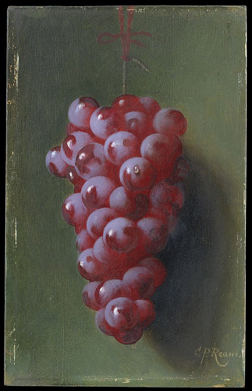 Still Life with Grapes, 1877, Carducius Plantagenet Ream