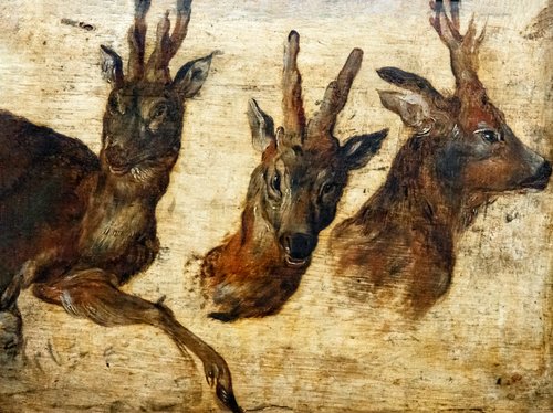 Têtes de brocards, 1600, Jan Brueghel l'Ancien
