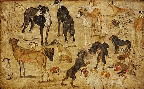 Studies of Dogs, 1616, Jan Brueghel the Elder