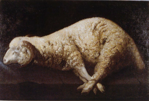 Agnus Dei, 1632, Francisco de Zurbarán