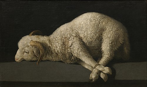 Agnus Dei, 1635, Francisco de Zurbarán