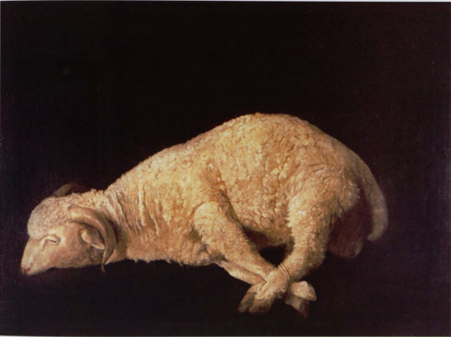 Ram with Tied Feet, 1631, Francisco de Zurbarán