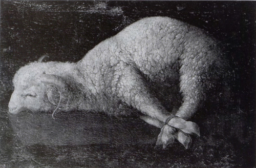 Ram with Tied Feet, 1637, Francisco de Zurbarán