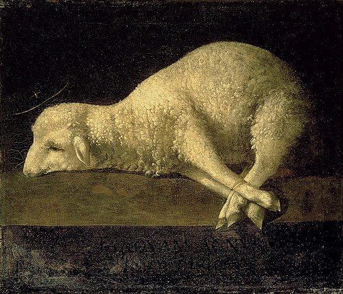 Agnus Dei (1639), 1639, Francisco de Zurbarán