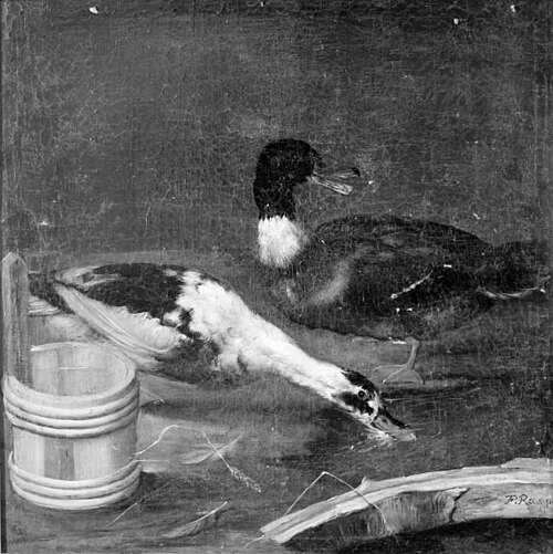 Two Ducks, 1704, Franz Roos