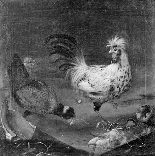 Two Hens and a Cock, 1704, Franz Roos