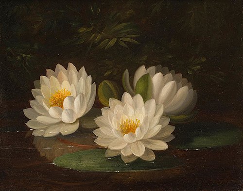 Water Lilies, 1865, Paul Lacroix