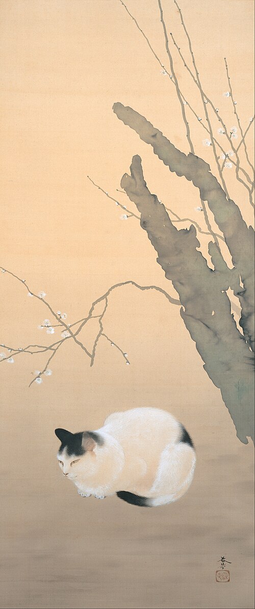 Cat and Plum Blossoms, 1906, Hishida Shunsō