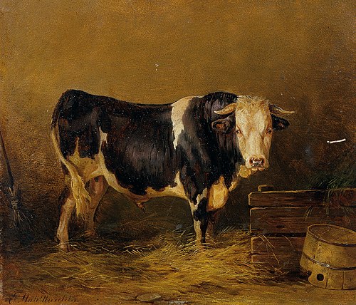 Stier im Stall, , Edmund Mahlknecht