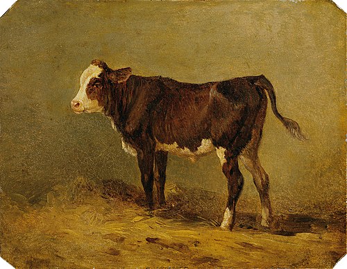 Kälbchen, , Edmund Mahlknecht