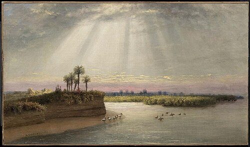 White Pelicans in Florida, 1873, George Harvey