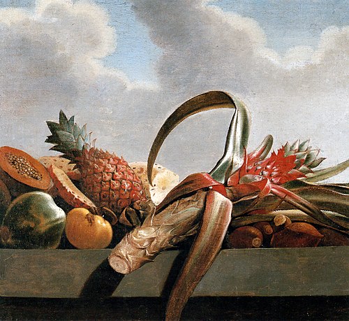 Pineapple, papaya and other fruit, 1640, Albert Eckhout
