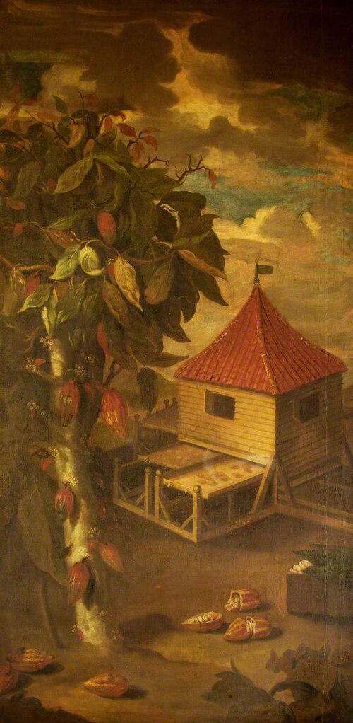 A Cocoa Tree and Roasting Hut, 1642, Albert Eckhout