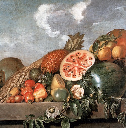 Brazilian fruits, 1643, Albert Eckhout