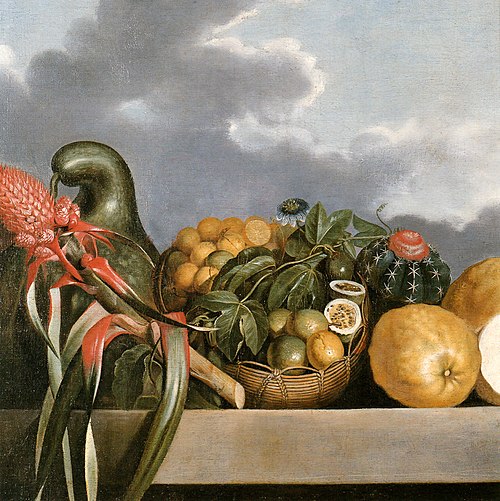 Still-life of gourds, passion fruit, citrus fruits and cactus, 1643, Albert Eckhout
