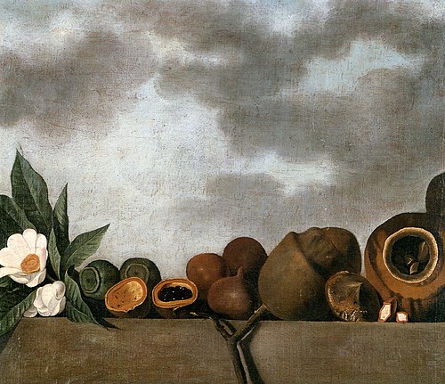 Still-life of various of Brazilian nuts, 1643, Albert Eckhout