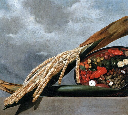 Still-life of flowering coconut palm, nuts and red pepers, 1643, Albert Eckhout